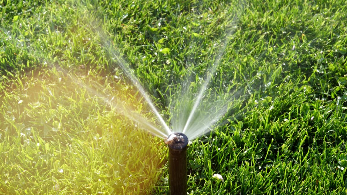 smartsprinkler-getty-AdrianHancu-hero